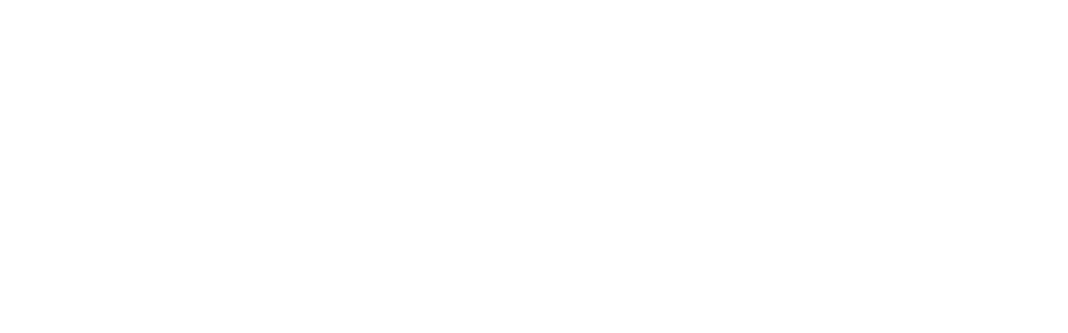 Sie betrachten gerade SCD Soft